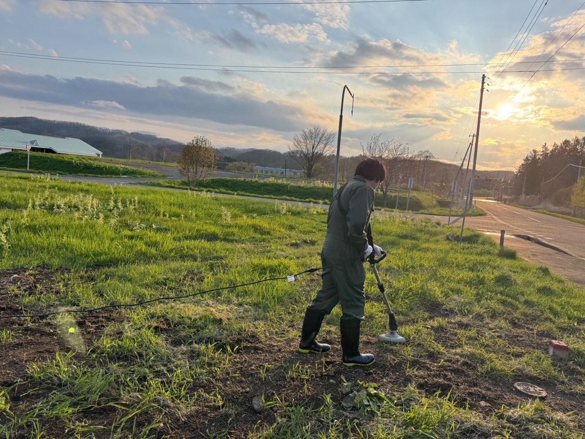 土地の草刈り作業