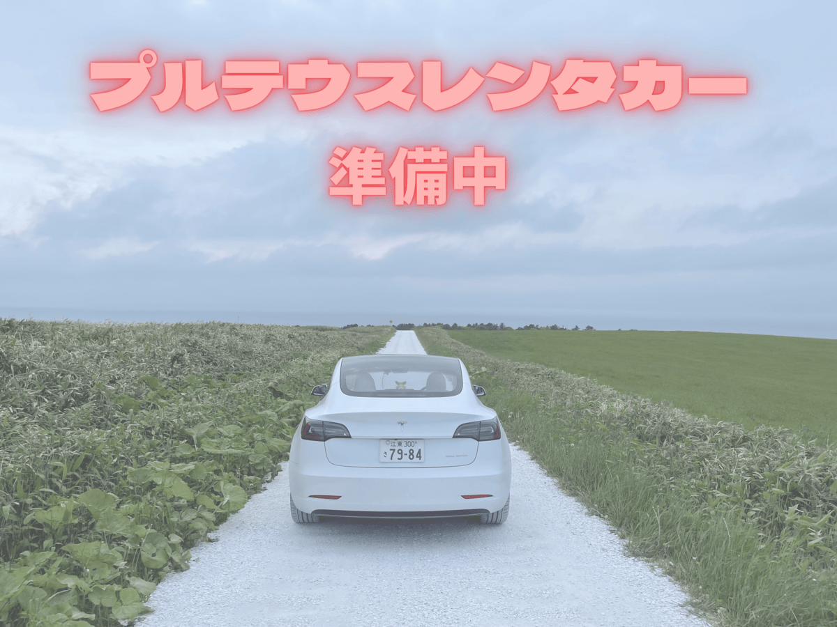 プルテウスレンタカー
